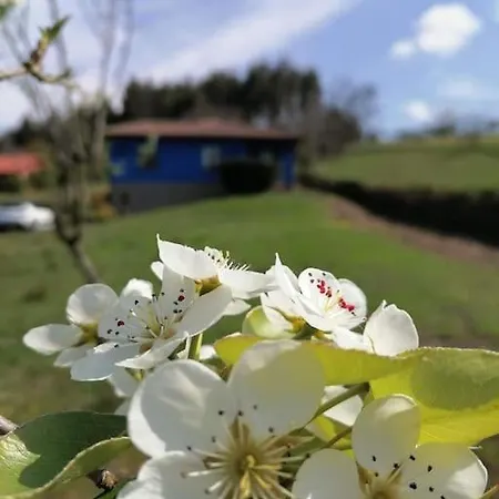 Сasa de vacaciones La Casa Azul: Un Lugar Mágico Y Acogedor En *