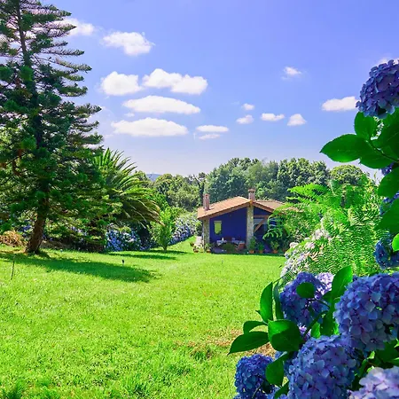 La Casa Azul De Lua Un Lugar Mágico *