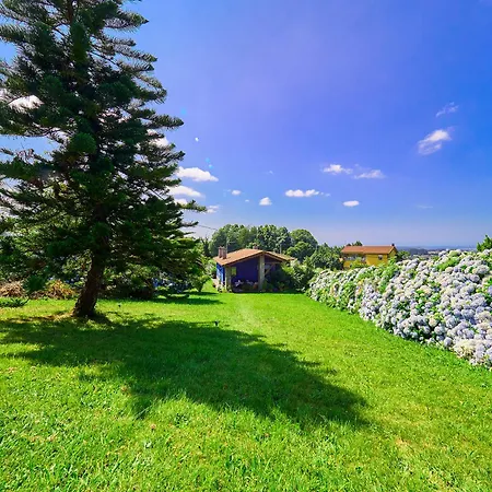 La Casa Azul De Lua Un Lugar Mágico Juncedo