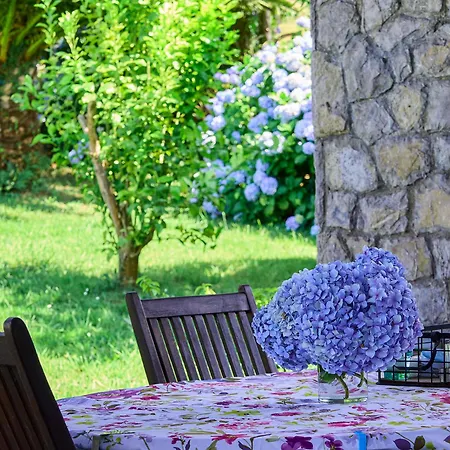 Casa vacanze La Casa Azul De Lua Un Lugar Mágico