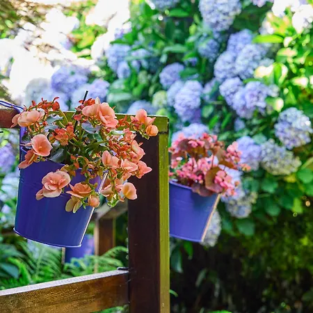 La Casa Azul De Lua Un Lugar Mágico Casa vacanze *