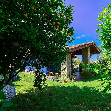 La Casa Azul De Lua Un Lugar Magico Feriehus