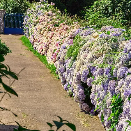 Semesterbostad La Casa Azul De Lua Un Lugar Magico